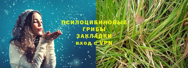 дживик Каменногорск