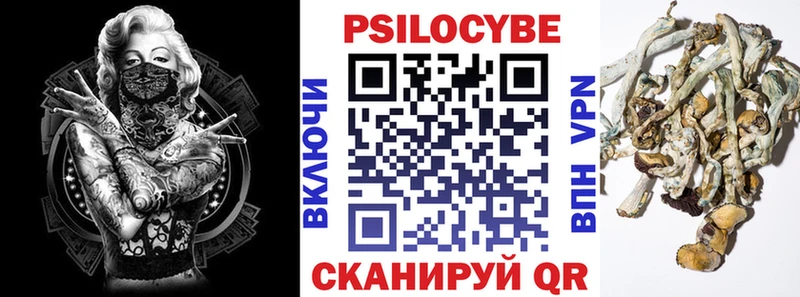Псилоцибиновые грибы прущие грибы darknet состав Азов